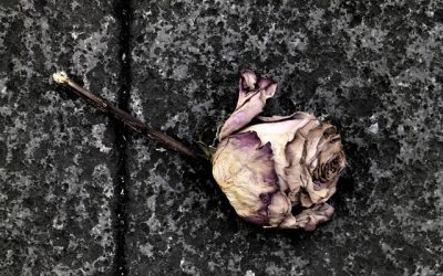 Columna: La pena de muerte (social) ya existe