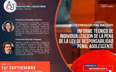 Informe técnico de individualización de la pena de la ley de responsabilidad penal adolescente