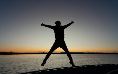 Análisis del proyecto de ley que crea el Servicio Nacional de Reinserción Social Juvenil e introduce modificaciones a la ley N°20.084, sobre responsabilidad penal de adolescentes, y otras normas que indica